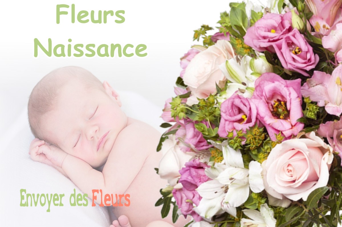 lIVRAISON FLEURS NAISSANCE à LECUSSAN