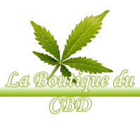 LA BOUTIQUE DU CBD LECUSSAN 